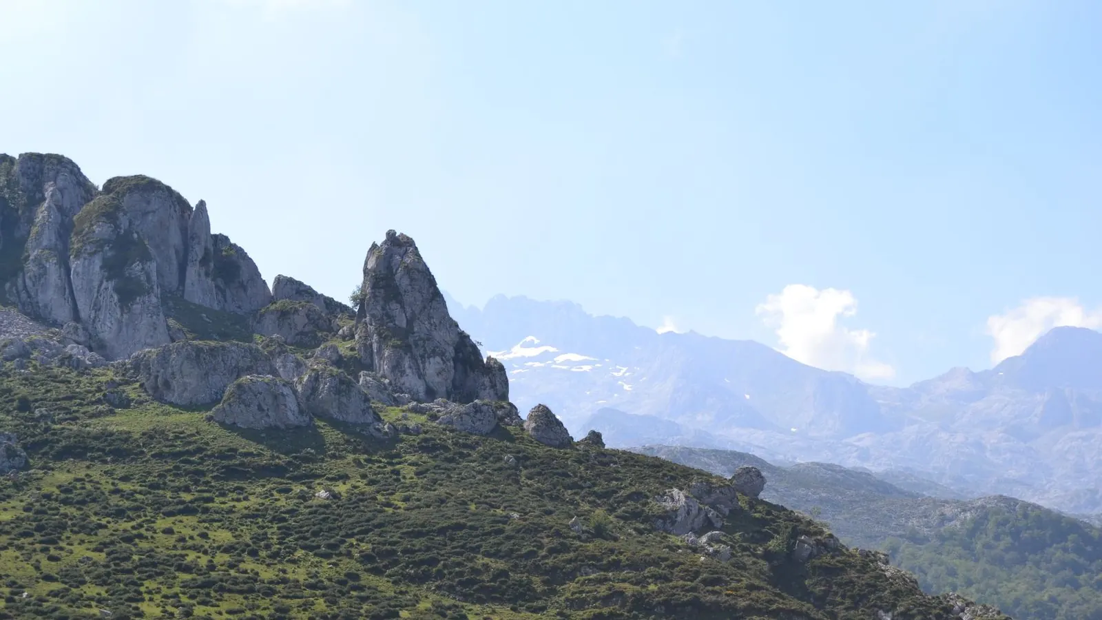 Gröna berg i Picos de Europa, Asturien