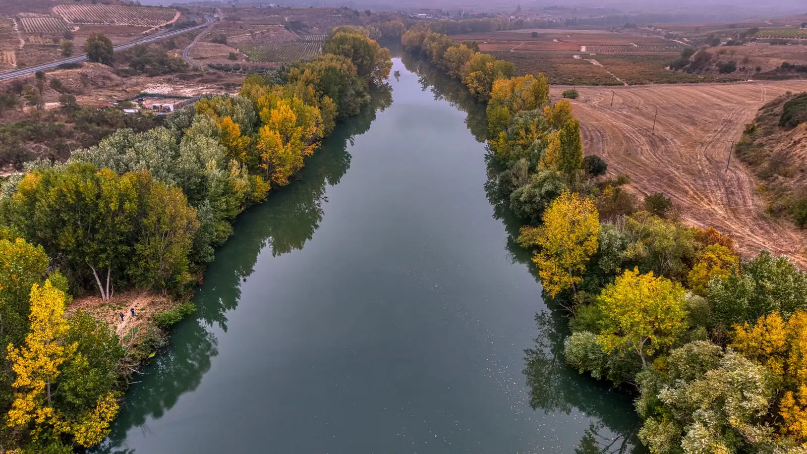 Flod genom höstfärgade träd i La Rioja