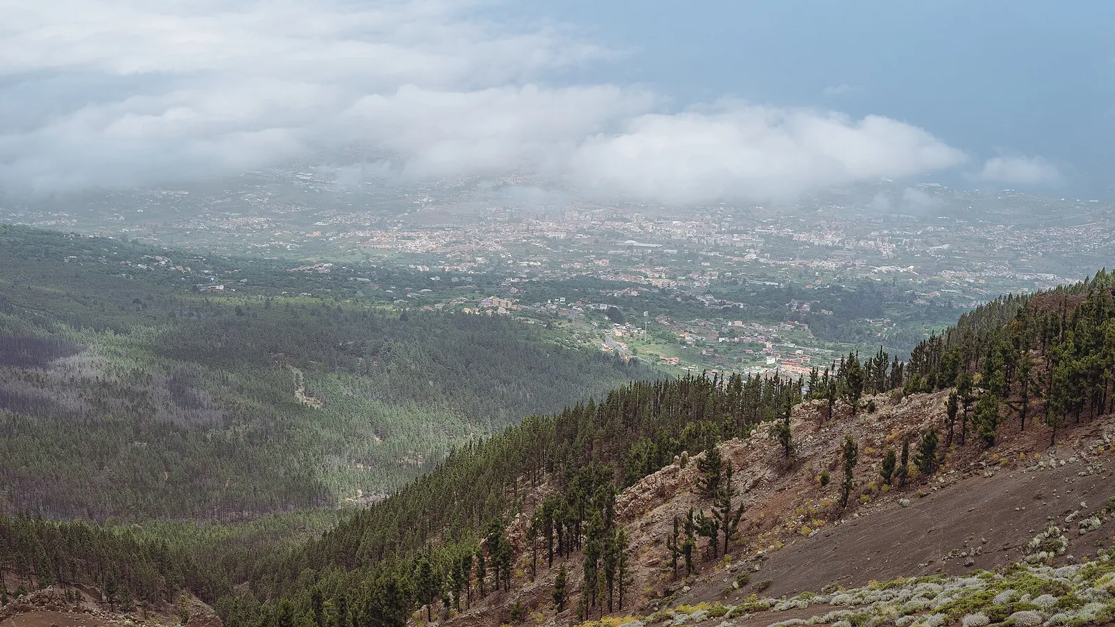 La Orotava, Teneriffa