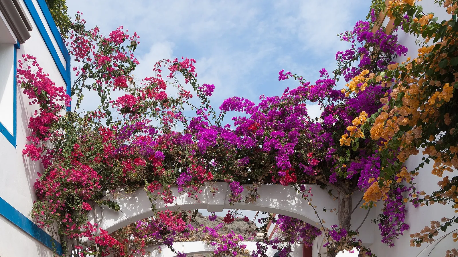 Puerto de Mogán, Gran Canaria